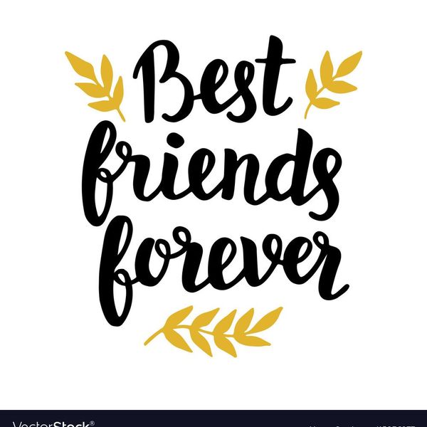 Best Friends Essay Examples