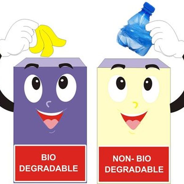 Biodegradable And Nonbiodegradable Waste Essay Examples