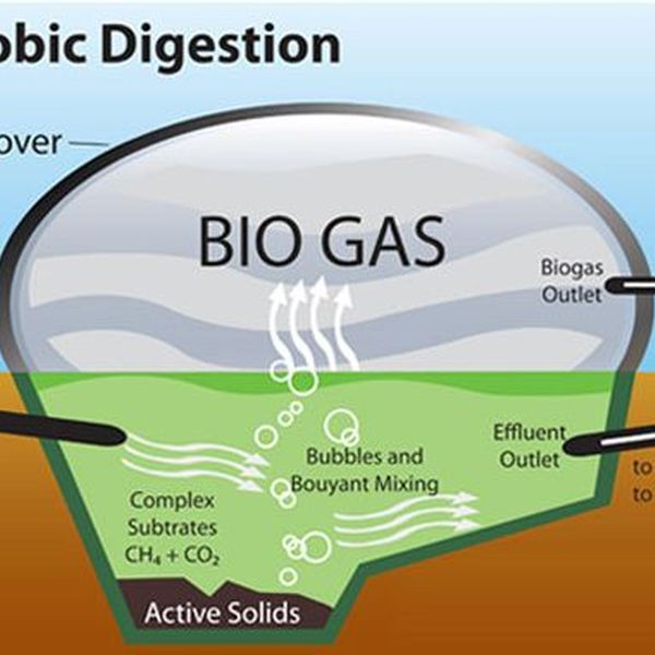 Biogas And Gobar Gas Energy Essay Examples