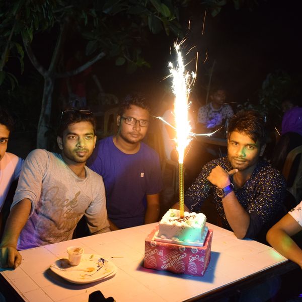 Birthday Party Of My Friend Essay Examples