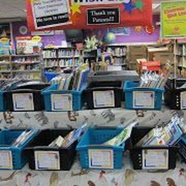Book Fair In My School Essay Examples