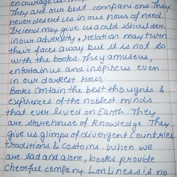 Books Are Our Best Companions Essay Examples