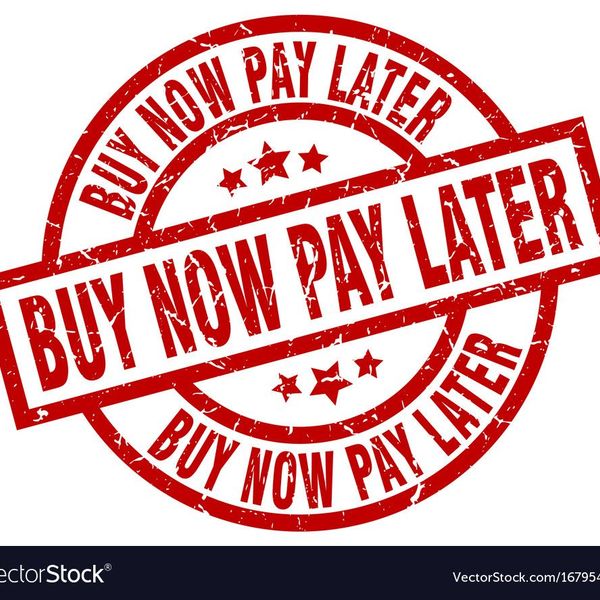 Buy Now Pay Later Essay Examples