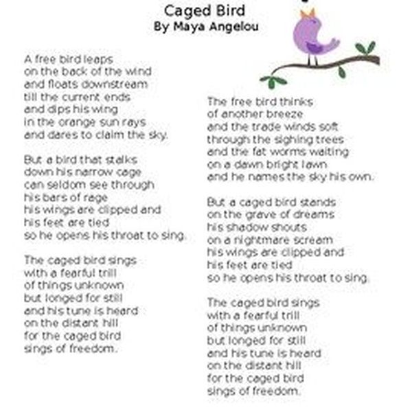 Caged Bird By Maya Angelou Essay Examples
