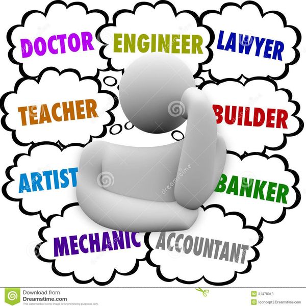 Careers Choices Essay Examples