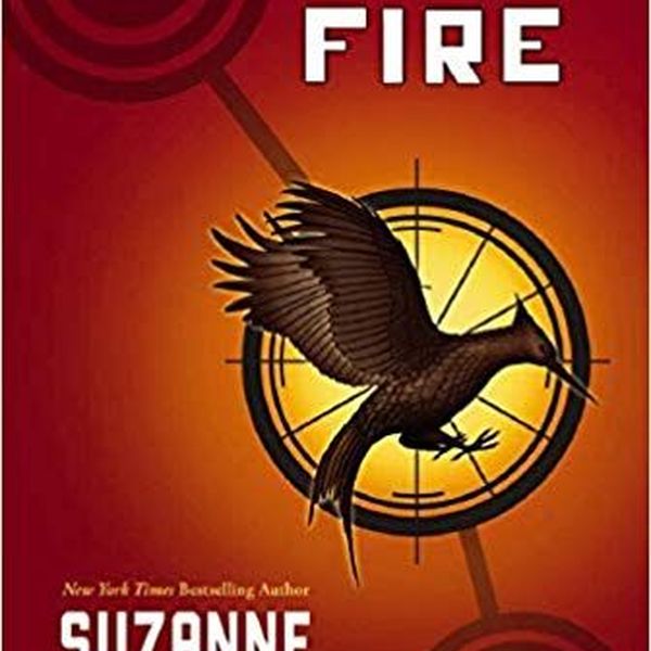Catching Fire Essay Examples