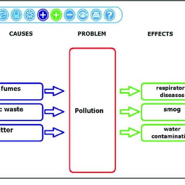 Cause And Effects Essay Examples