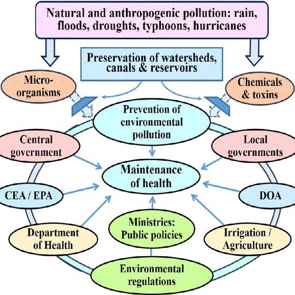 Causes Of Environmental Pollution Essay Examples