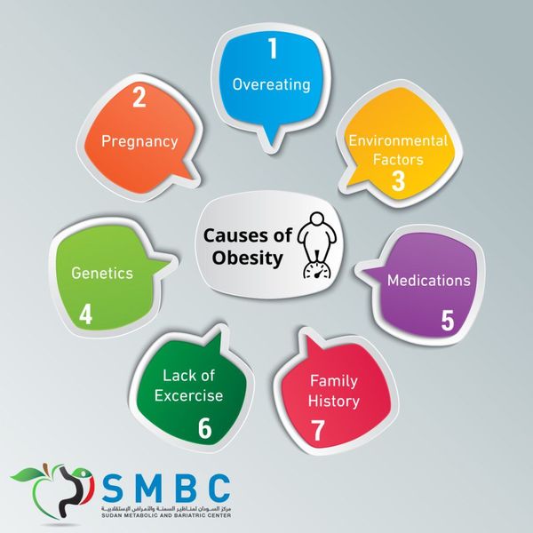 Causes Of Obesity Essay Examples