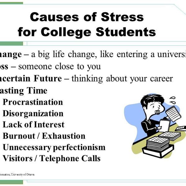 Causes Of Stress Among Students Essay Examples