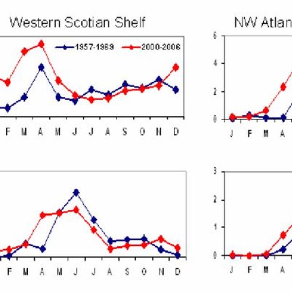 Changes In Seasonal Cycles Essay Examples