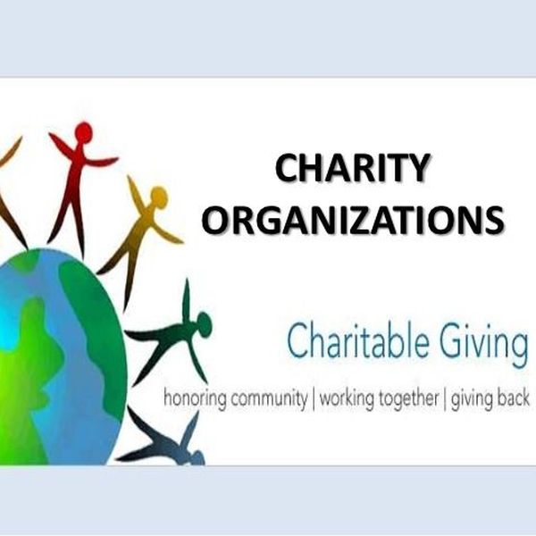 Charity Organization Essay Examples