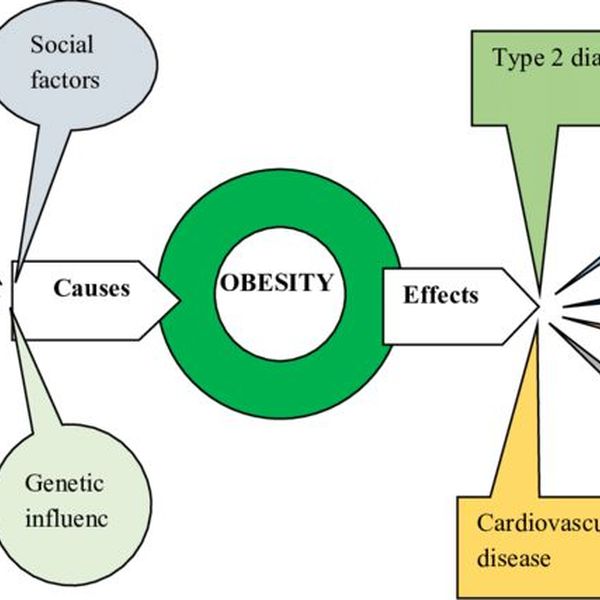 Childhood Obesity Cause And Effect Essay Examples