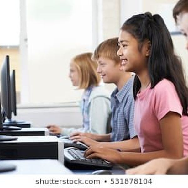 Children And Computers Essay Examples