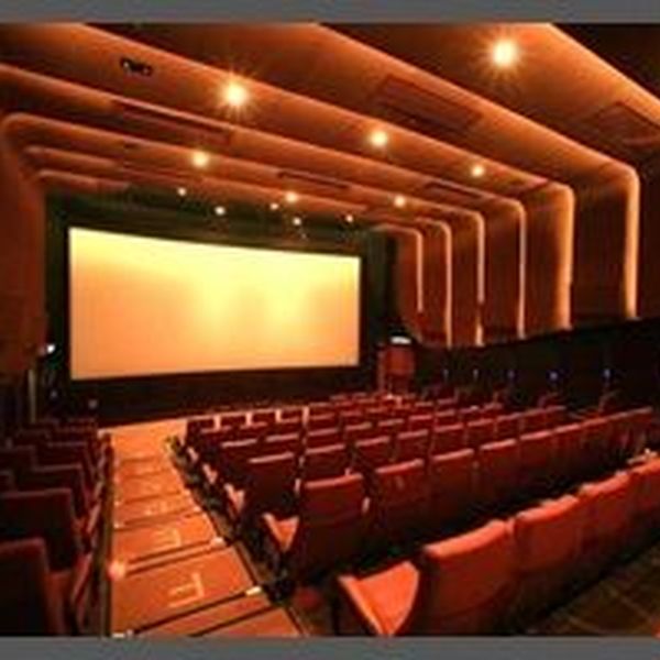 Cinema Both Entertains And Educates Essay Examples
