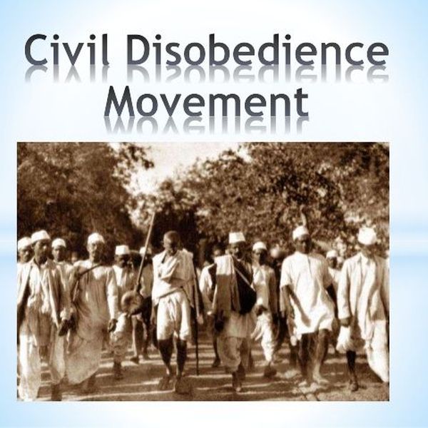 Civil Disobedience Movement Essay Examples