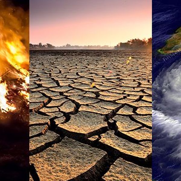 Climate Change Essay Examples