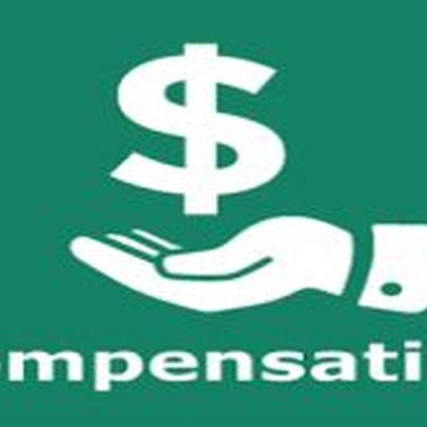 Compensation Essay Examples