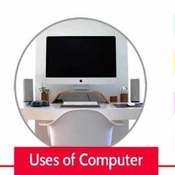 Computer And Its Applications Essay Examples