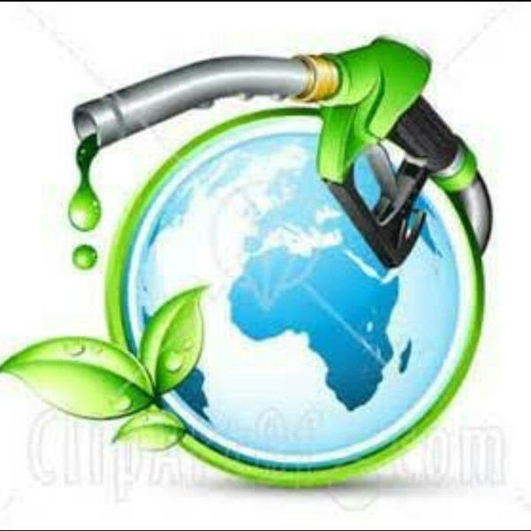 Conservation Of Fuel Essay Examples