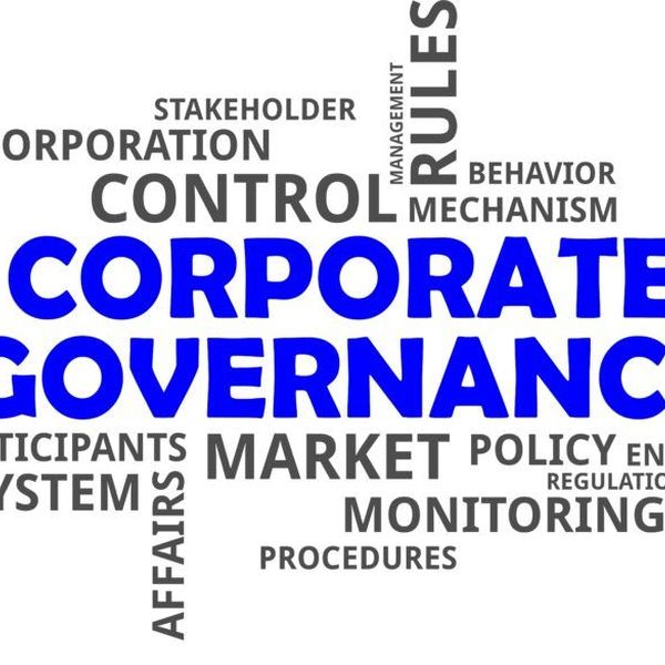 Corporate governance Essay Examples