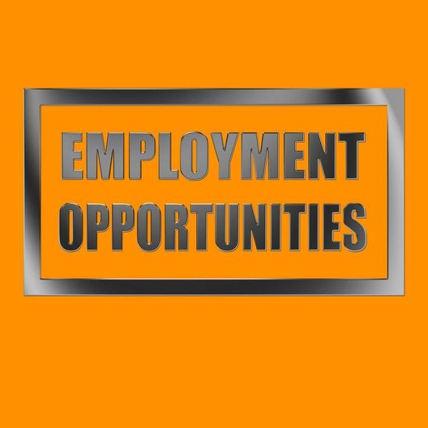 Creating Employment Opportunities Essay Examples