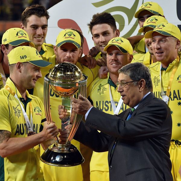 Cricket World Cup 2015 Essay Examples