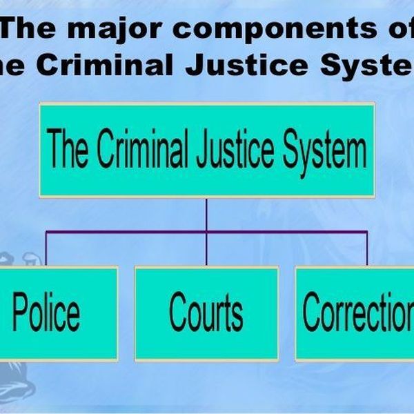 Criminal Justice System Essay Examples