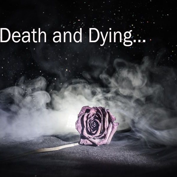 Death And Dying Essay Examples