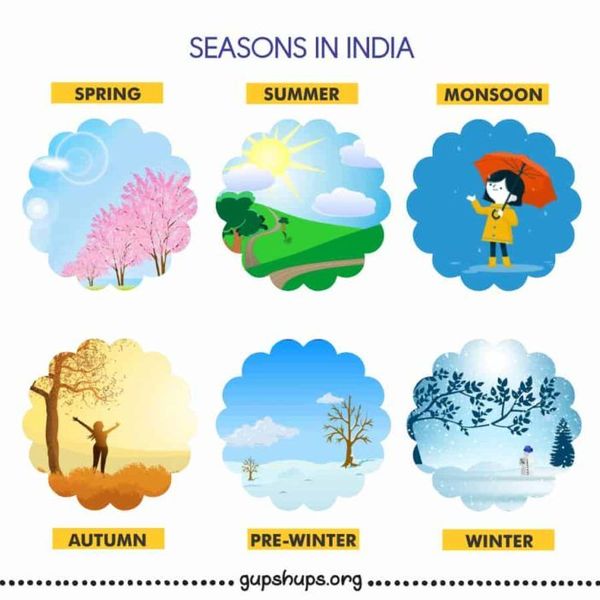 Different Seasons In India Essay Examples