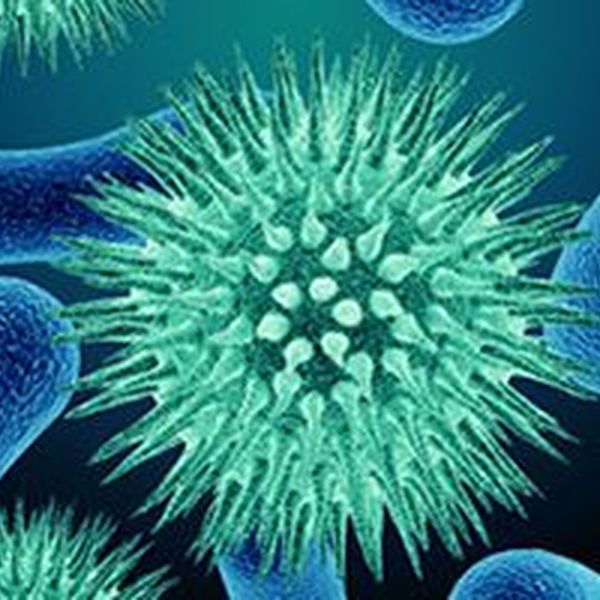 Diseases Essay Examples