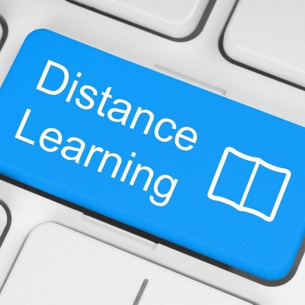 Distance Education Essay Examples