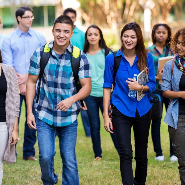 Diversity In College Essay Examples