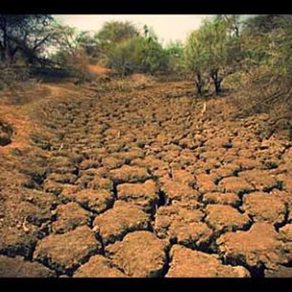 Droughts And Famines Essay Examples