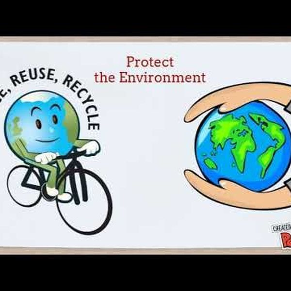 Duties Of A Good Citizen Essay Examples