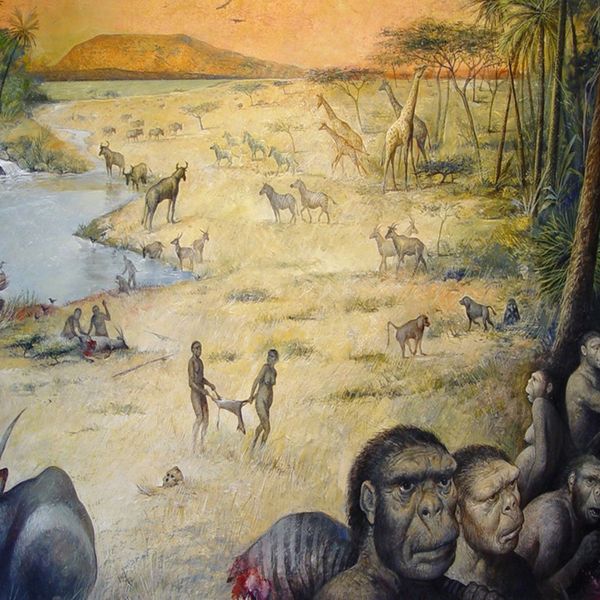 Early Human Life Essay Examples
