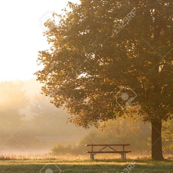 Early Morning Scene Essay Examples