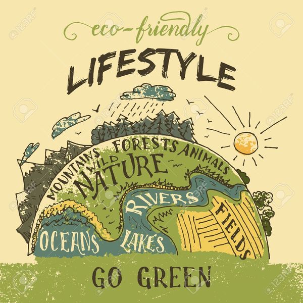 Eco Friendly Lifestyle Essay Examples