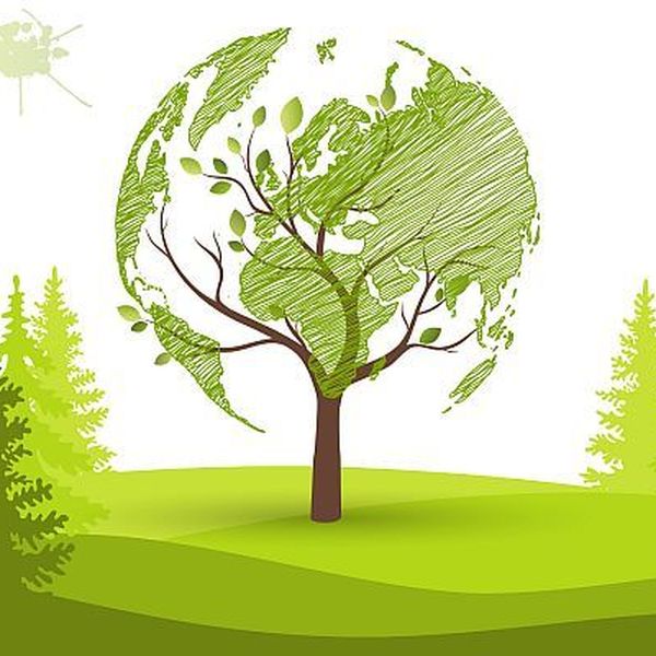 Eco Friendly Tourism Essay Examples