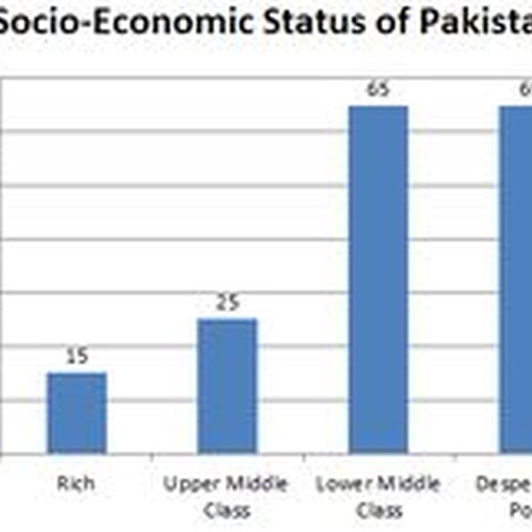 Economic Condition Of Pakistan Essay Examples