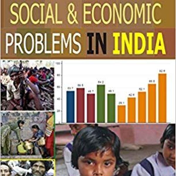 Economic Problems In India Essay Examples