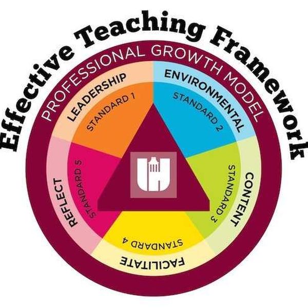 Education And Methodology Of Teaching Essay Examples