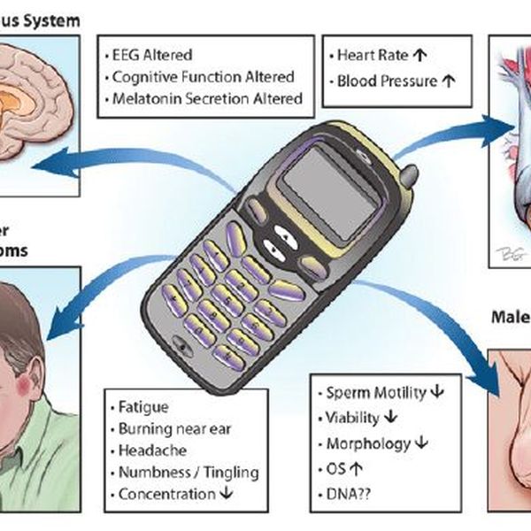 Effects Of Mobile Phones Essay Examples