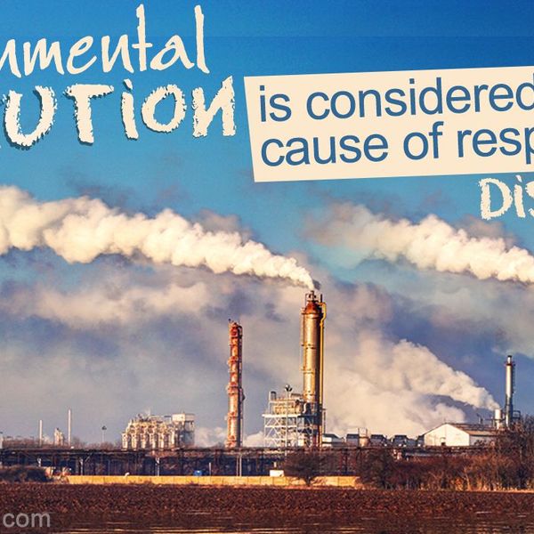 Effects Of Pollution On Environment Essay Examples