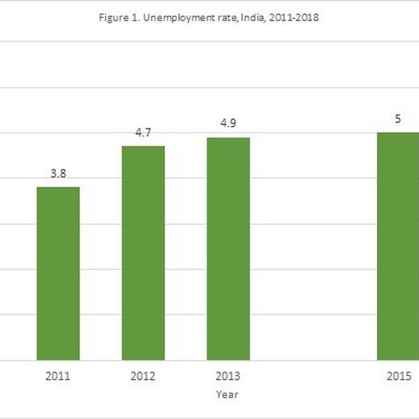 Employment In India Essay Examples