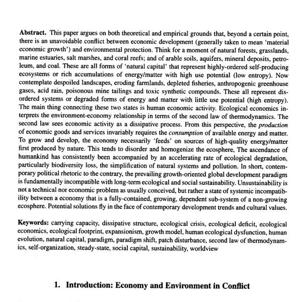 Environment And Economic Development Essay Examples
