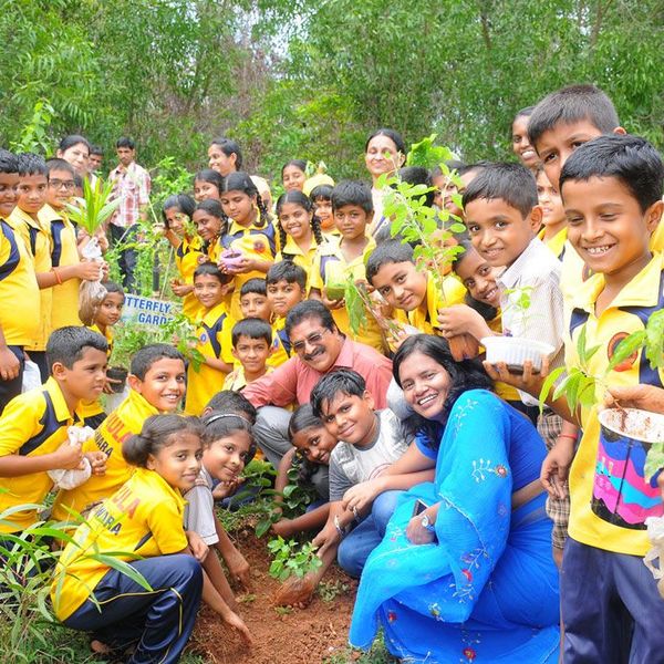 Environment Day In School Essay Examples