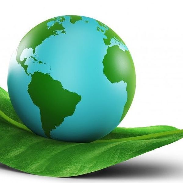 Environmental Awareness Essay Examples