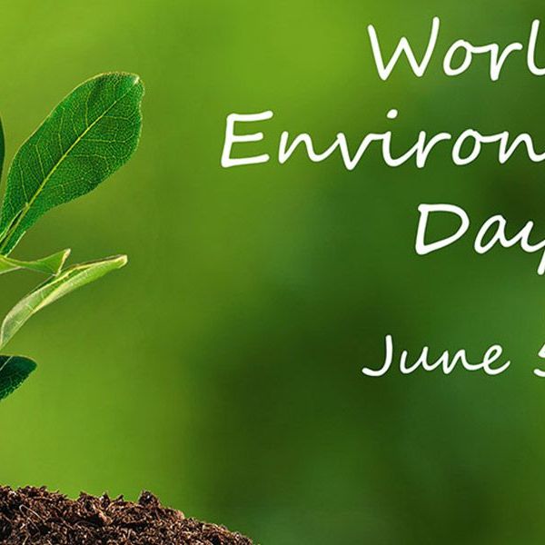 Environmental Day Essay Examples