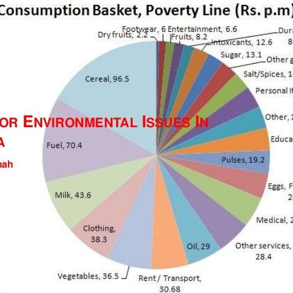 Environmental Problems In India Essay Examples